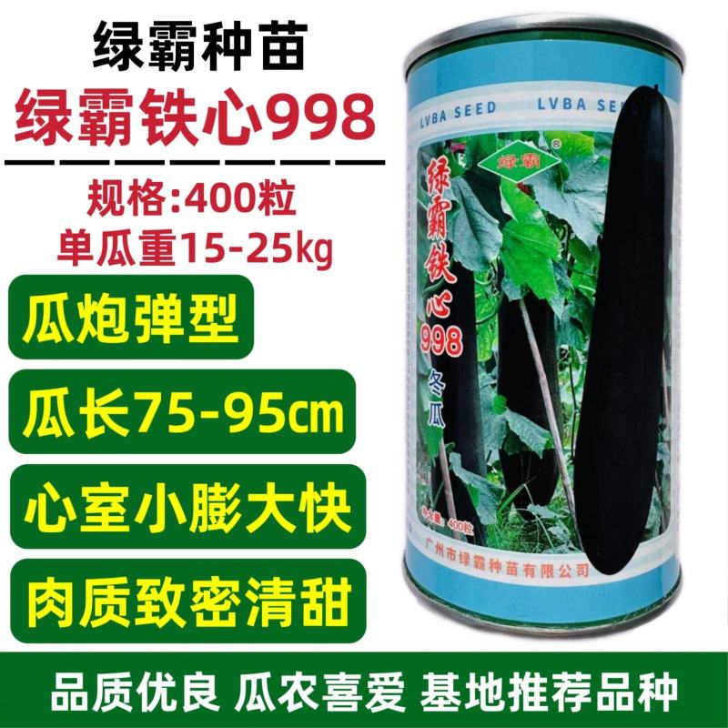 绿霸铁心998冬瓜种子黑皮大冬瓜种子炮弹型特大铁心冬瓜种