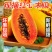 精品木瓜量大从优全国可发对接各大商超可视频看货
