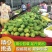 精品木瓜量大从优全国可发对接各大商超可视频看货