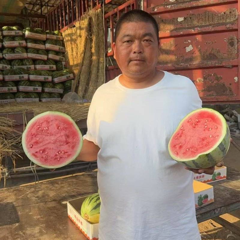 精品无籽西瓜甄选夏邑西瓜品质优良产地直发