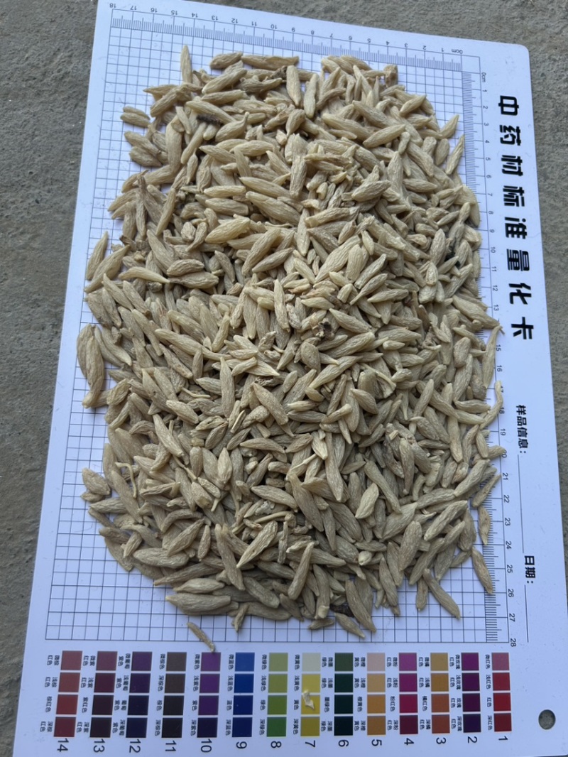 绵阳市三台县花园镇川麦冬源头厂家量大从优