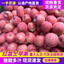 【山东红富士苹果】价格便宜坏烂包赔一手货源全国发随到随装