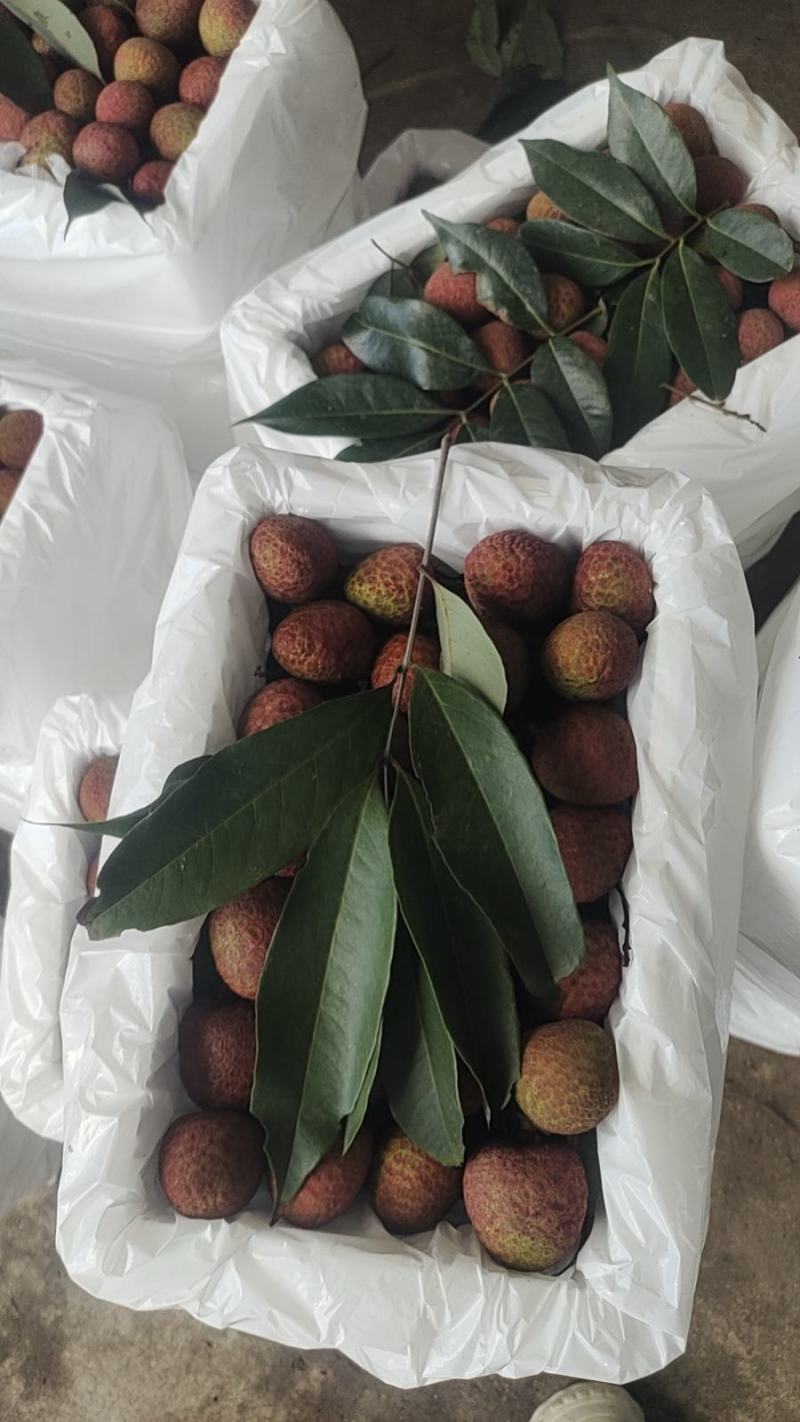 桂花香荔枝，清甜多汁，肉质爽脆，满满的桂花香味，海南产地