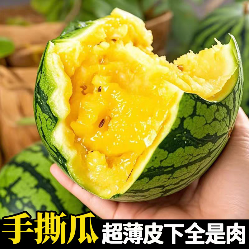 江苏特小凤西瓜香甜多汁对接批发商支持视频看货一手货源