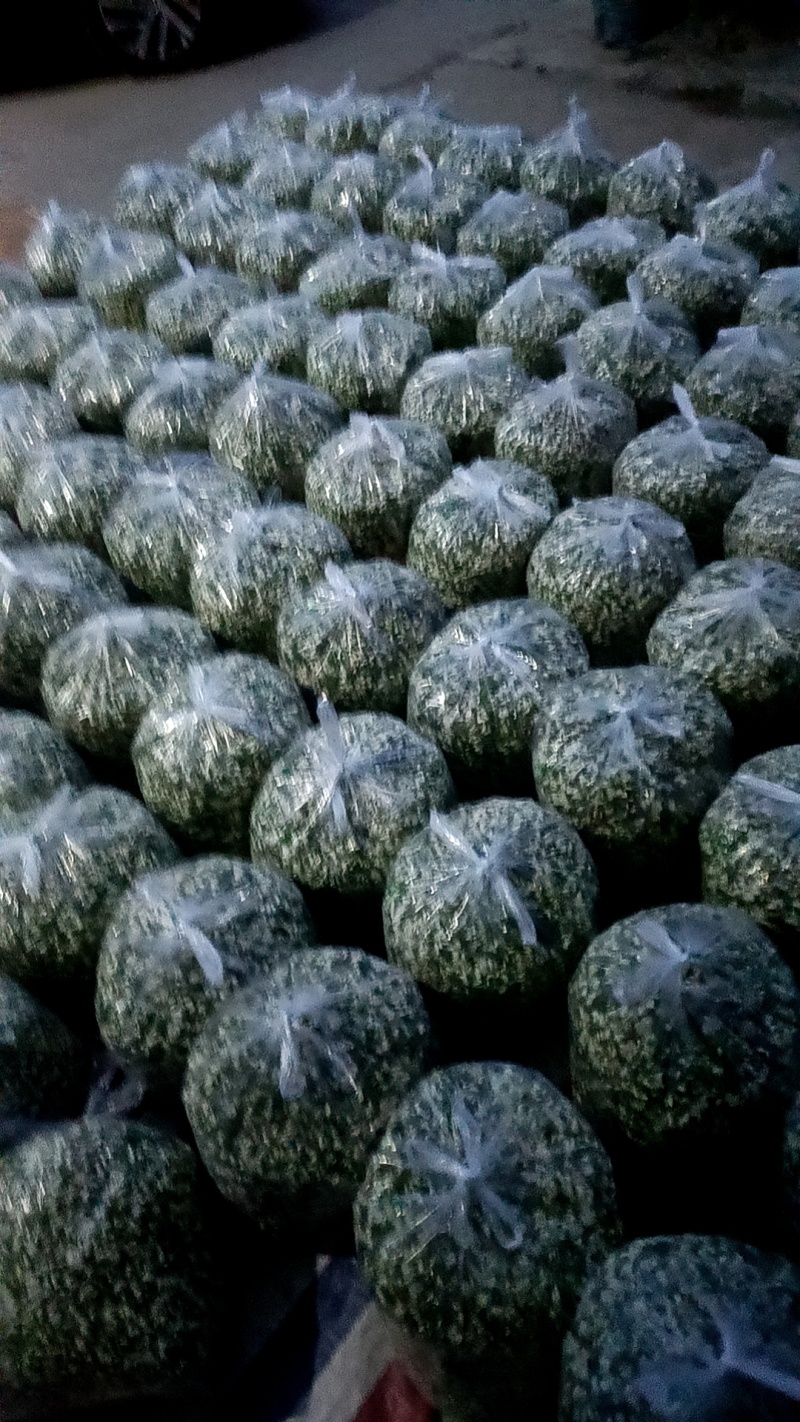 优质洋槐花