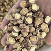 优选野生红芪片长期供货质量保证价格实惠