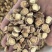 优选野生红芪片长期供货质量保证价格实惠