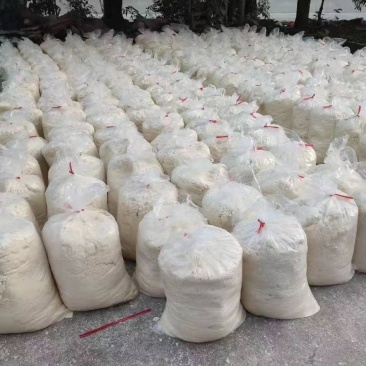 出售袋装新鲜纯豆渣，养植鱼，猪，鸡的黄金搭子