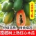 优品[红心冰糖木瓜]产地直采，大量对接电商，市场，商超