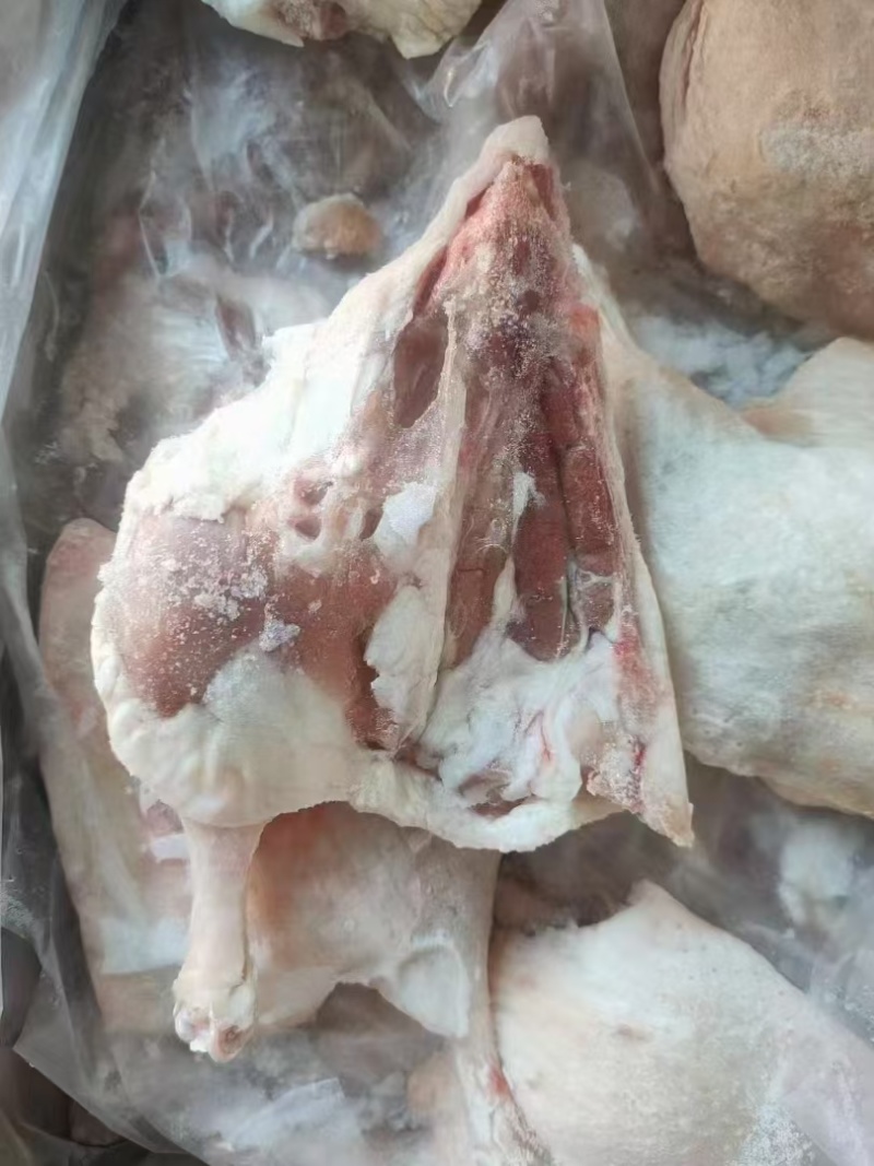 箱装鸭边腿，大号小号都有，纯干货，工厂直发