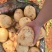 土豆丽薯