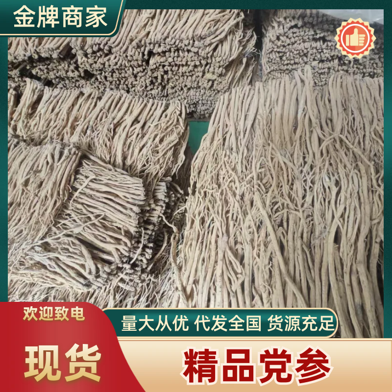 精品党参干货质量保证量大从优规格齐全欢迎咨询