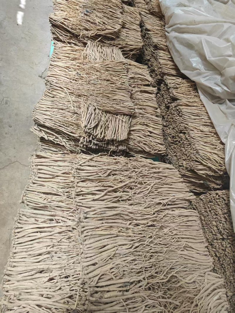 精品党参干货质量保证量大从优规格齐全欢迎咨询