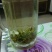 四川宜宾炒青茶