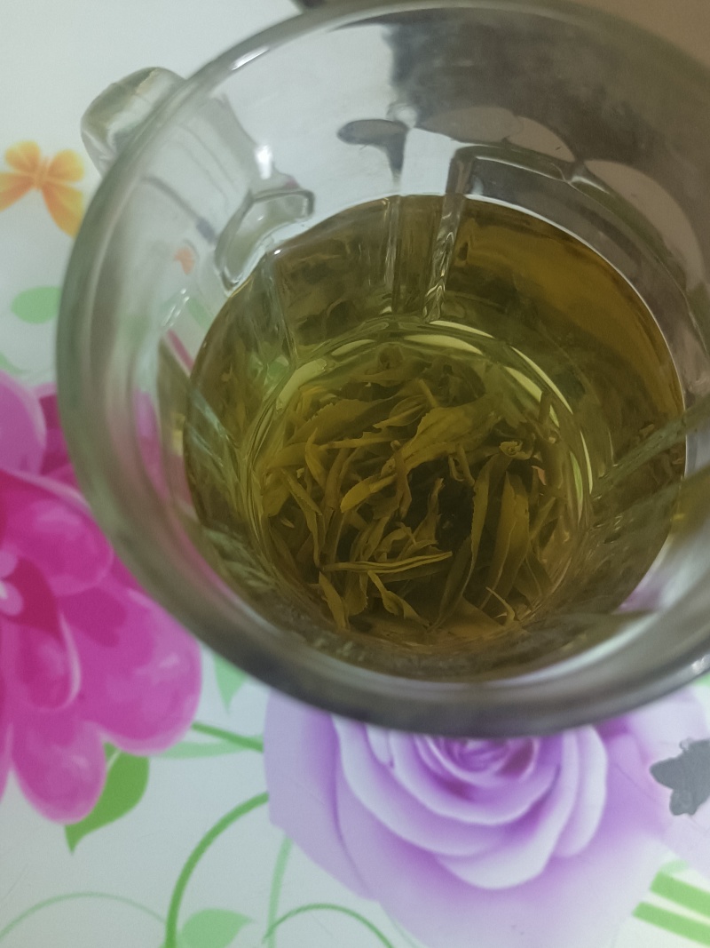 四川宜宾炒青茶