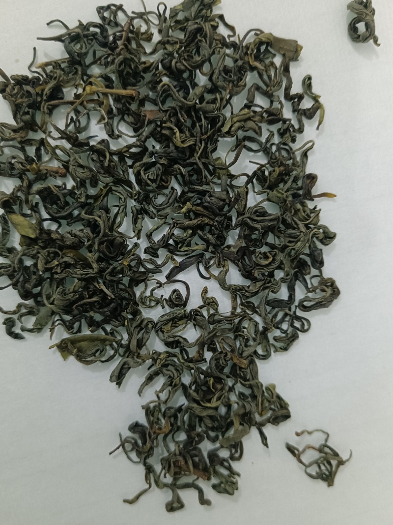 四川宜宾炒青茶