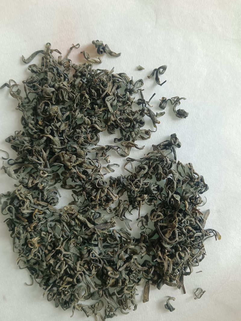 四川宜宾炒青茶