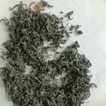 四川宜宾炒青茶