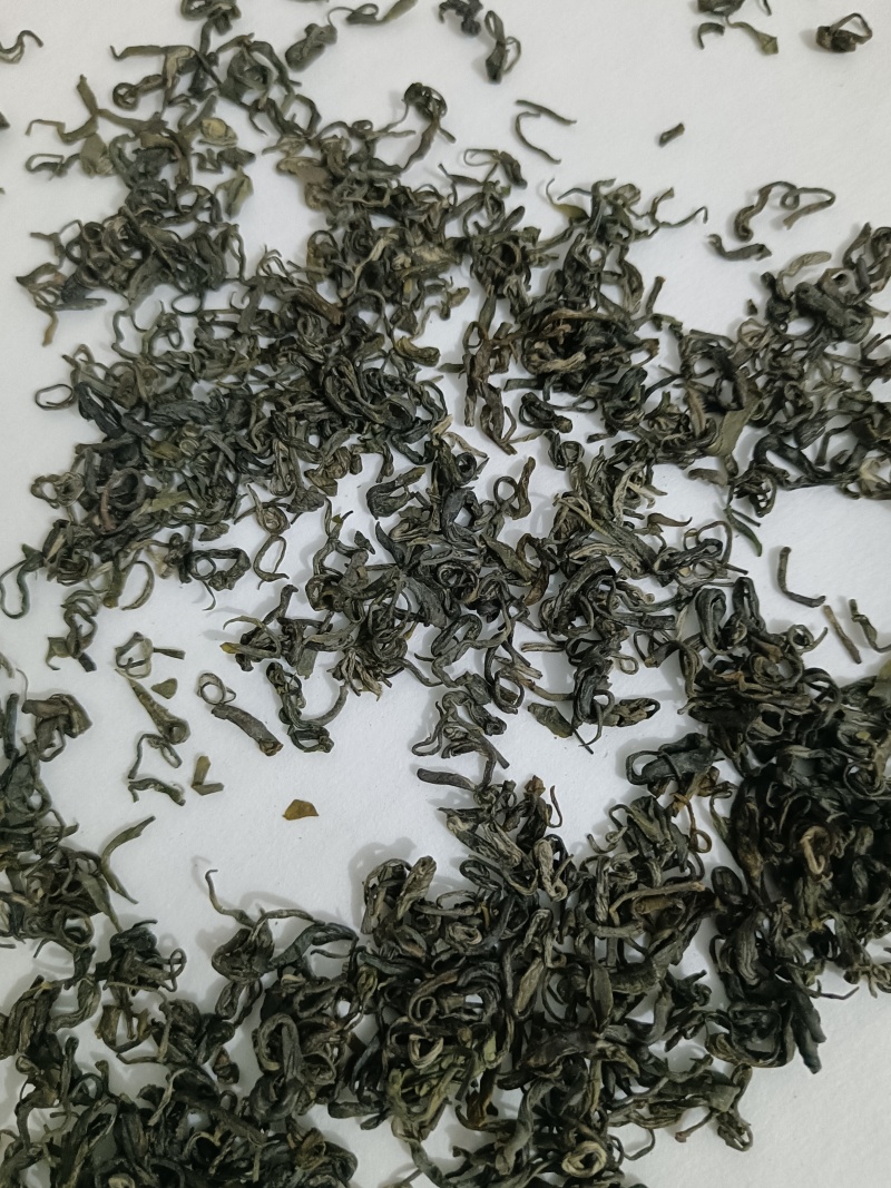 四川宜宾炒青茶