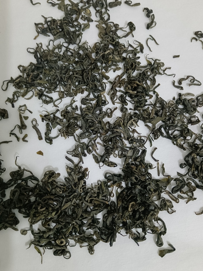 四川宜宾炒青茶