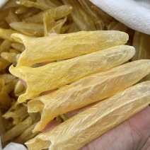 黄花胶大量现货规格齐全，品质保证，可视频看货代发全国