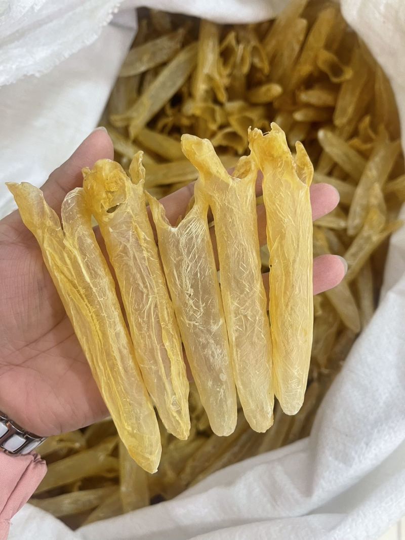 黄花胶大量现货规格齐全，品质保证，可视频看货代发全国