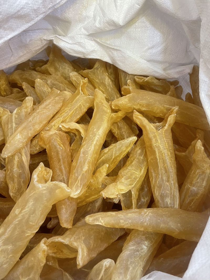 黄花胶大量现货规格齐全，品质保证，可视频看货代发全国