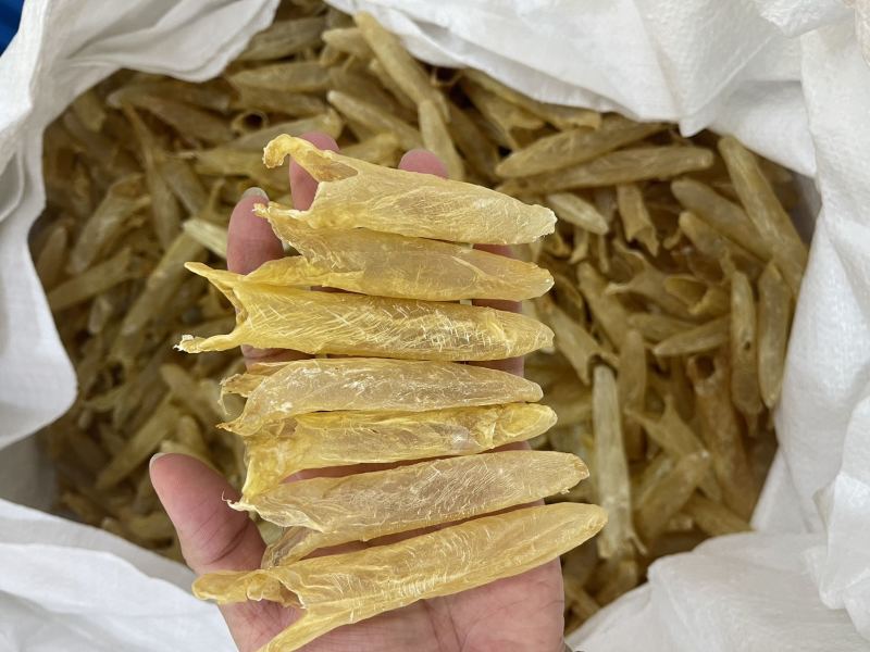 黄花胶大量现货规格齐全，品质保证，可视频看货代发全国