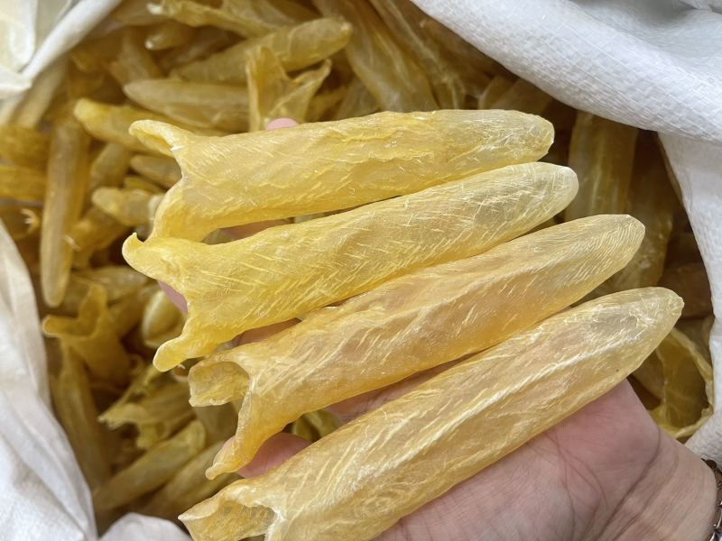 黄花胶大量现货规格齐全，品质保证，可视频看货代发全国