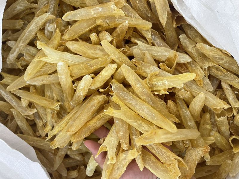 黄花胶大量现货规格齐全，品质保证，可视频看货代发全国