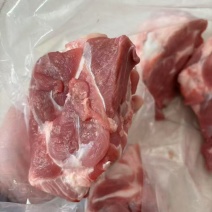 满肉棒骨