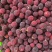 杨梅精选大颗东魁杨梅颗粒饱满一手货源产地直发欢迎