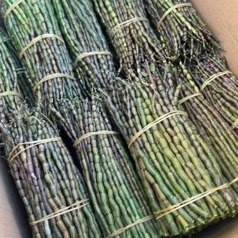 霍山石斛原产地直销，品质优可视频看货。