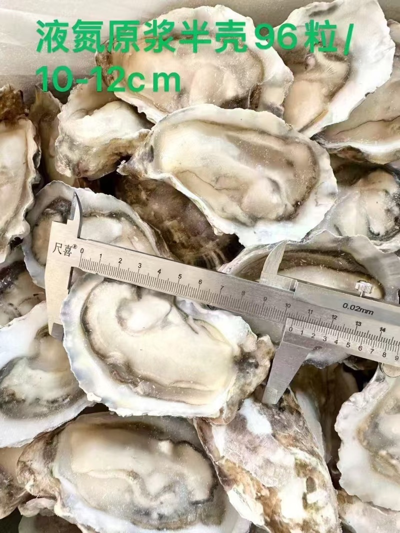 乳山生蚝，液氮锁鲜生蚝，生蚝肉，欢迎电话联系