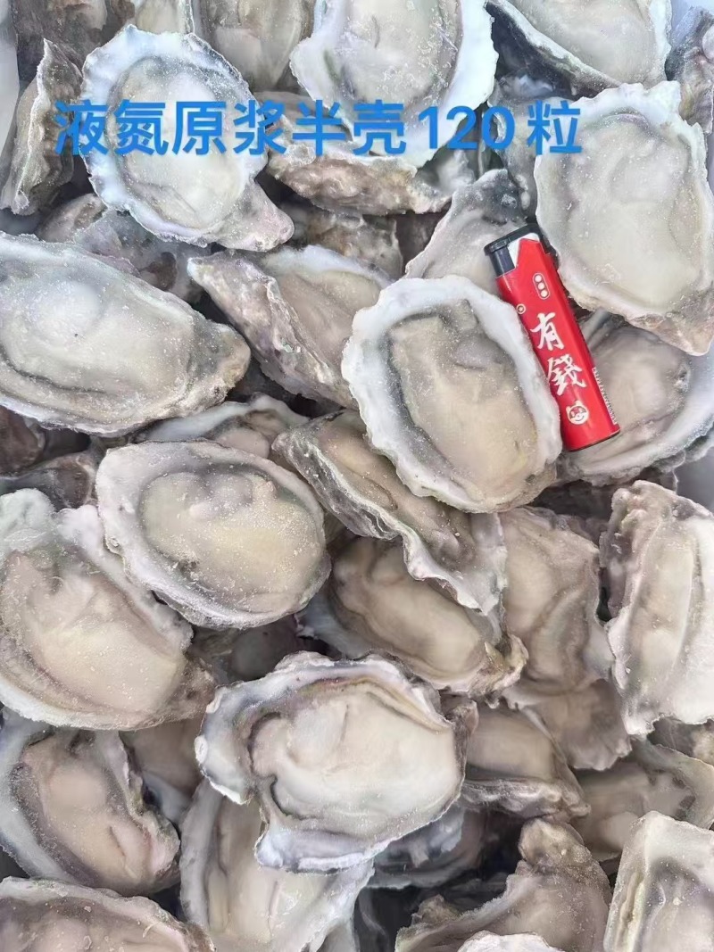 乳山生蚝，液氮锁鲜生蚝，生蚝肉，欢迎电话联系