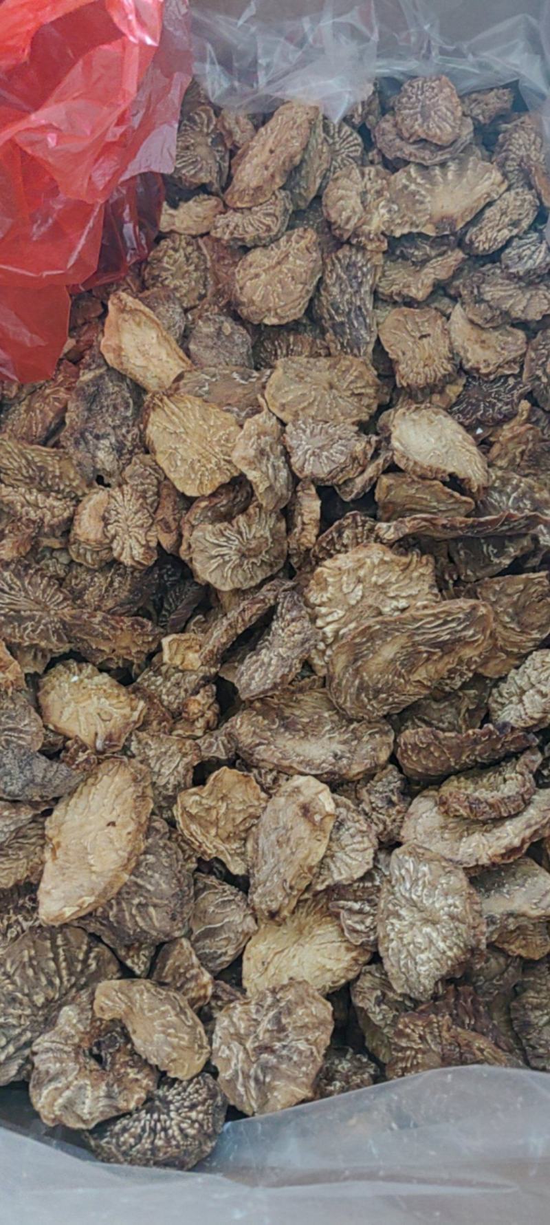 肉苁蓉片大货价格