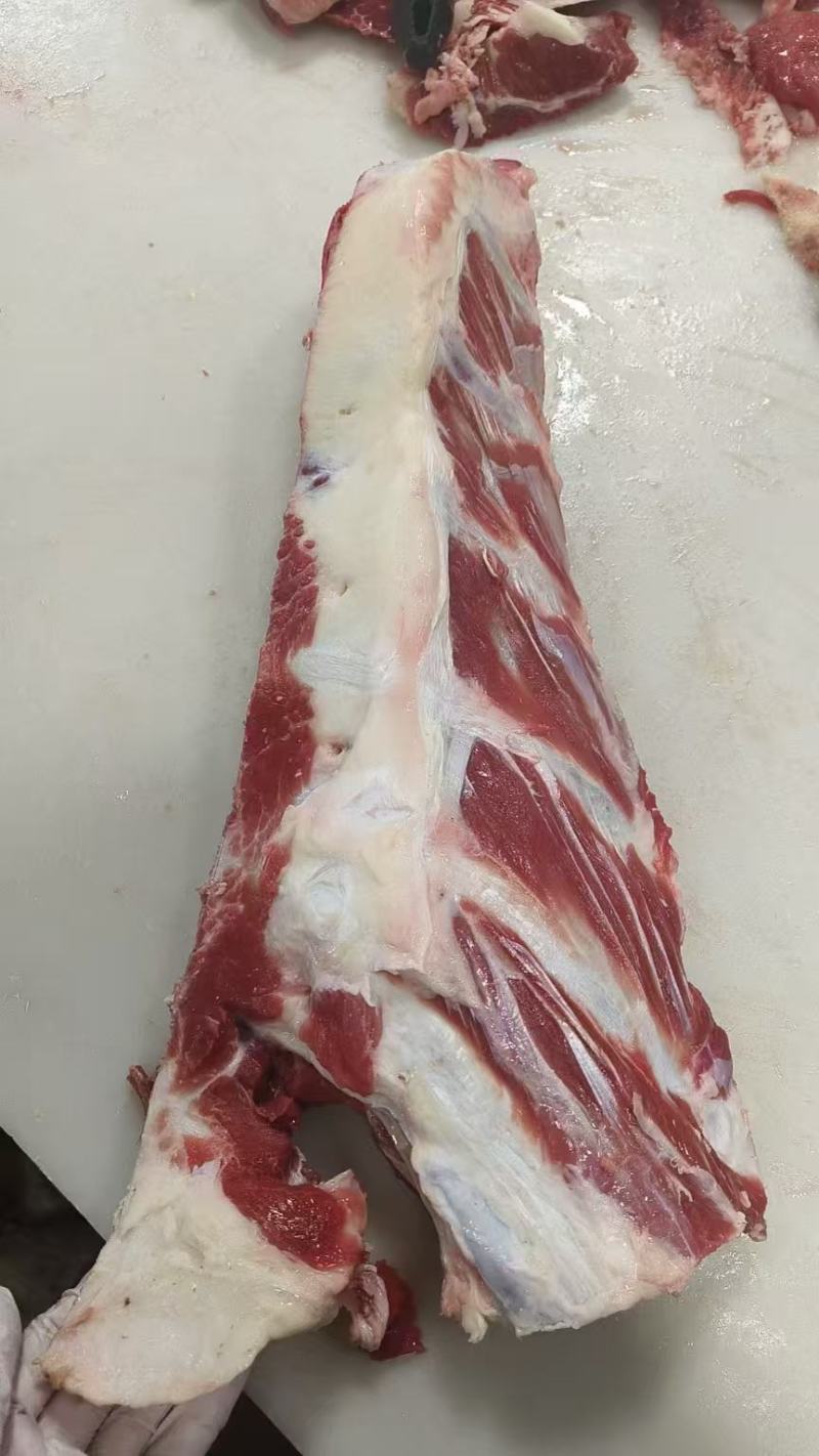 带肉牛胸骨，14一公斤