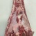 带肉牛胸骨，14一公斤
