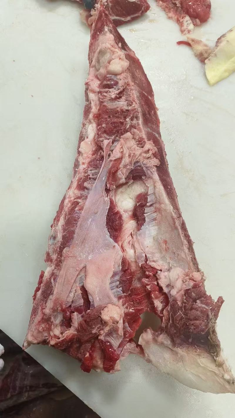 带肉牛胸骨，14一公斤