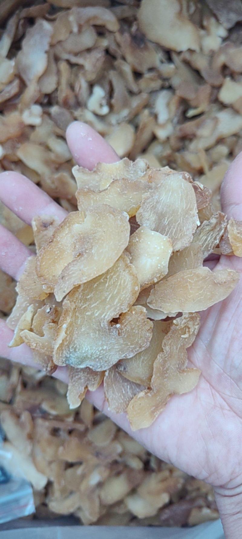 黄精批发价格