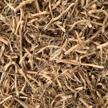 白前片【包邮】三斤起发货可批量可零售量大从优