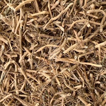 白前片【包邮】三斤起发货可批量可零售量大从优