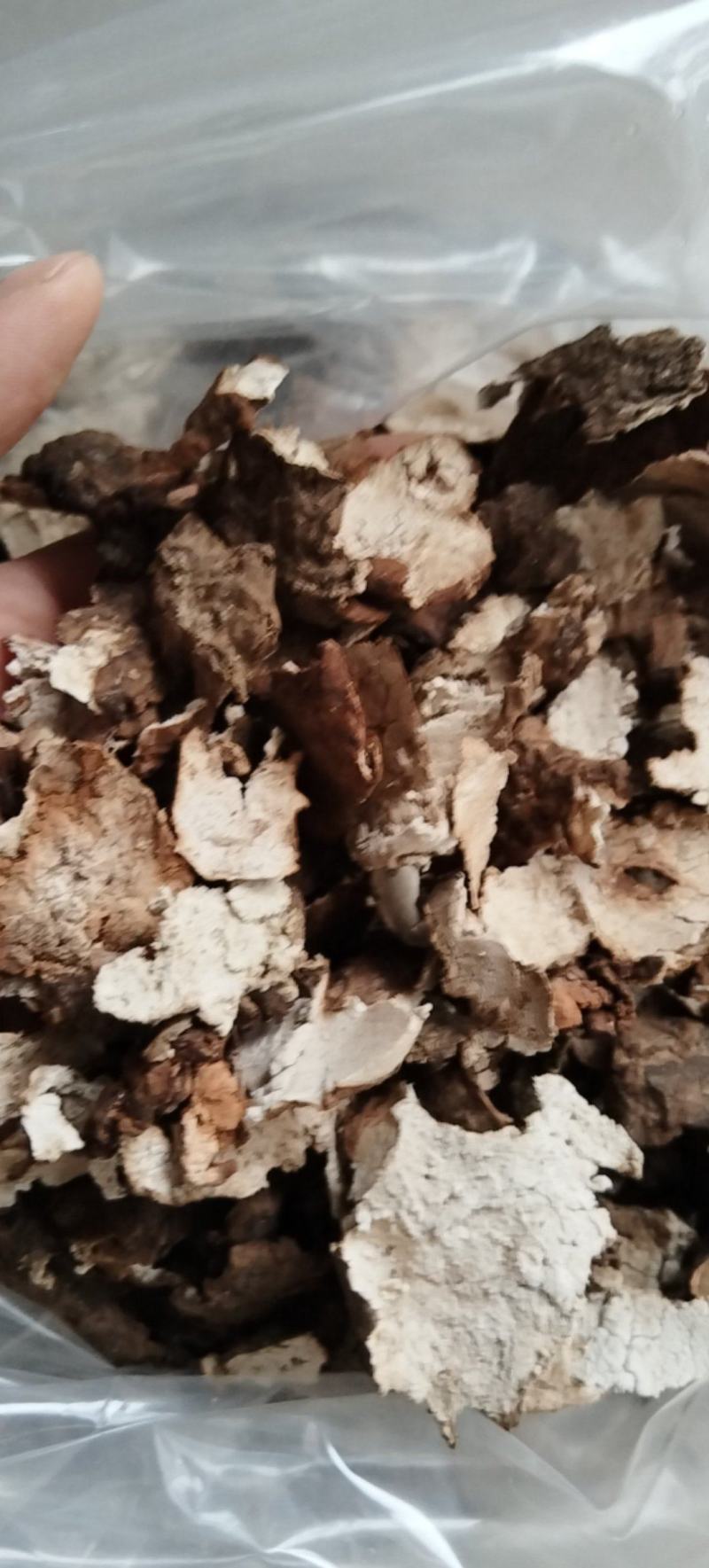 茯苓皮