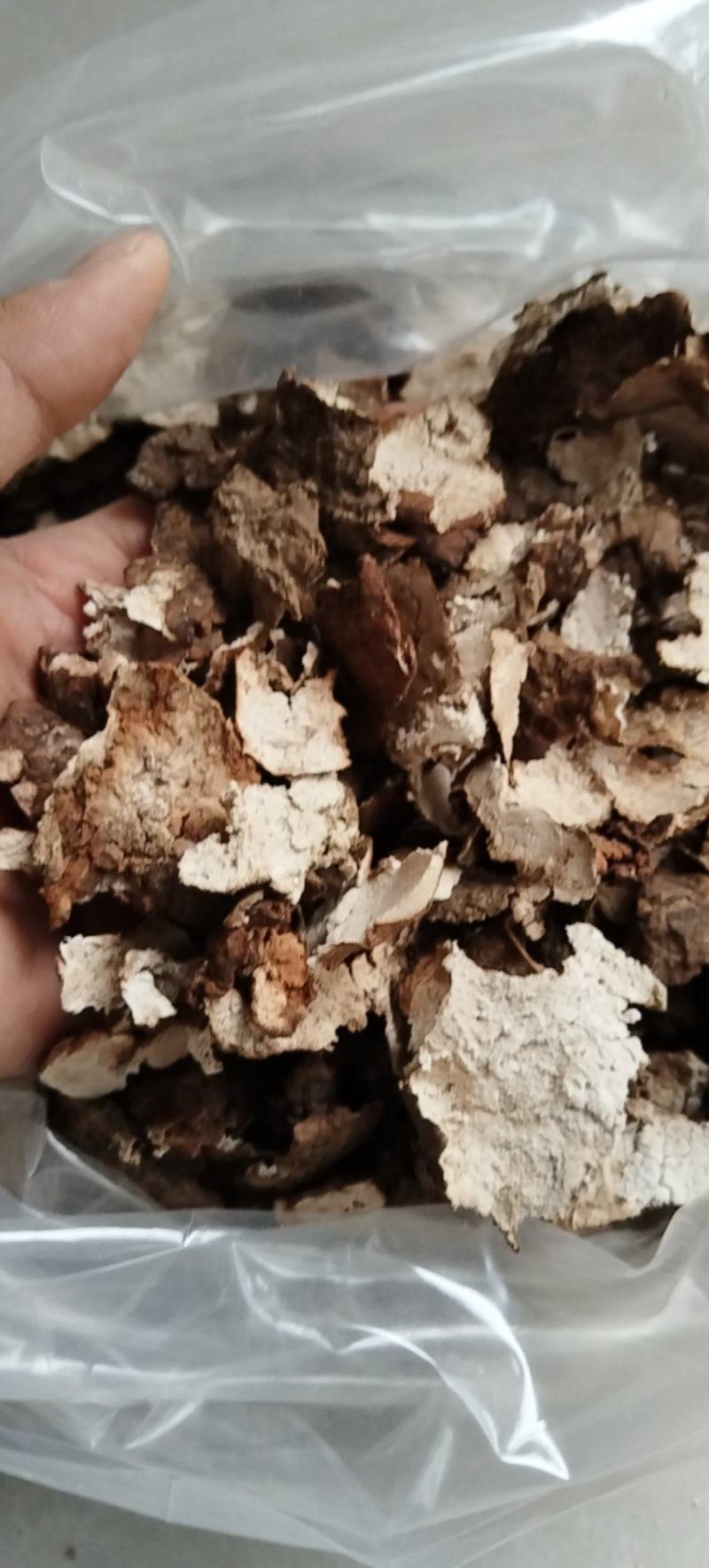 茯苓皮
