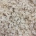 雪燕