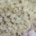 雪燕