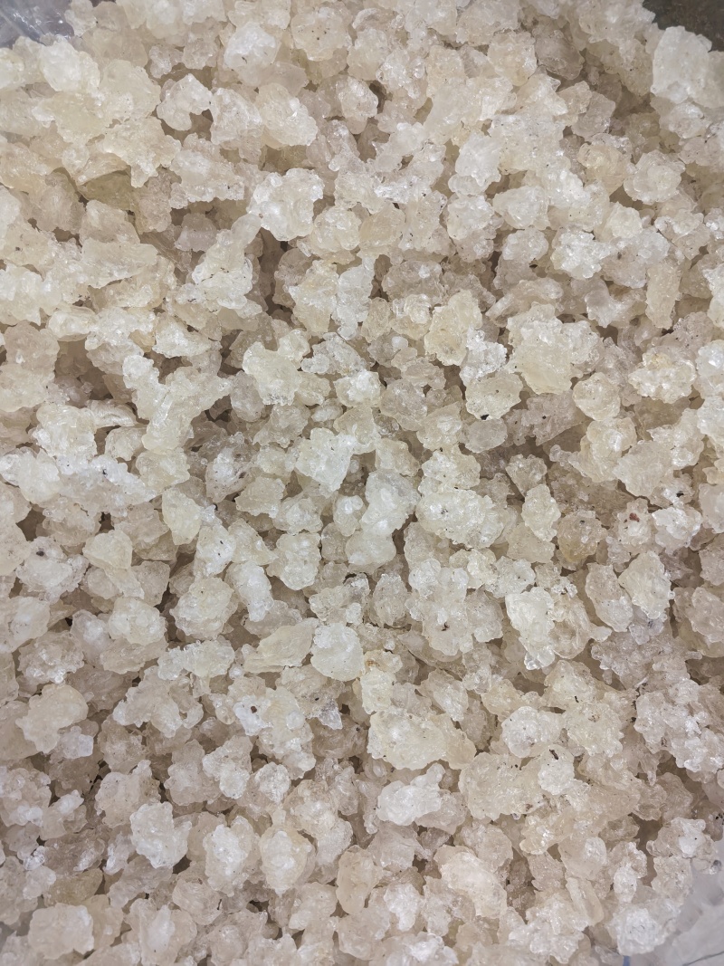 雪燕