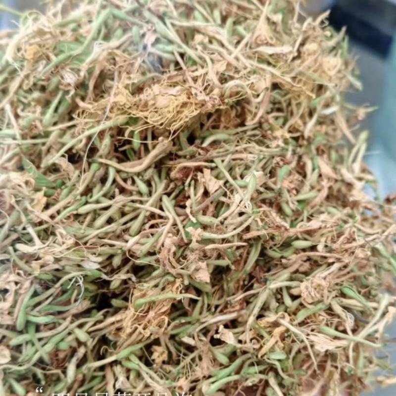 贵州安龙金银花，精品货，泡茶清香扑鼻。