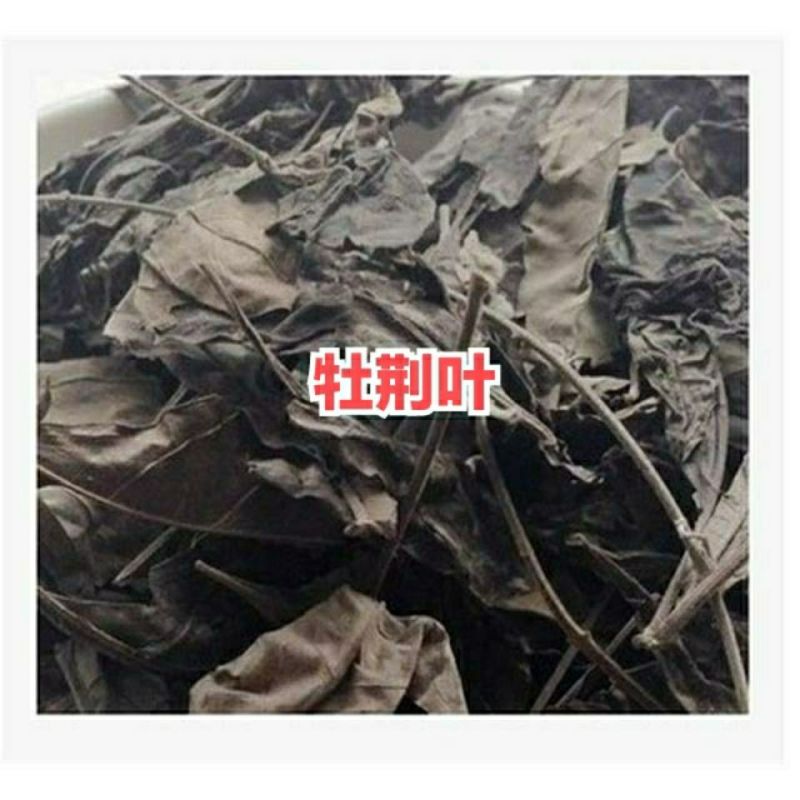 中药材牡荆叶1公斤、五指柑、荆叶、、货真价实