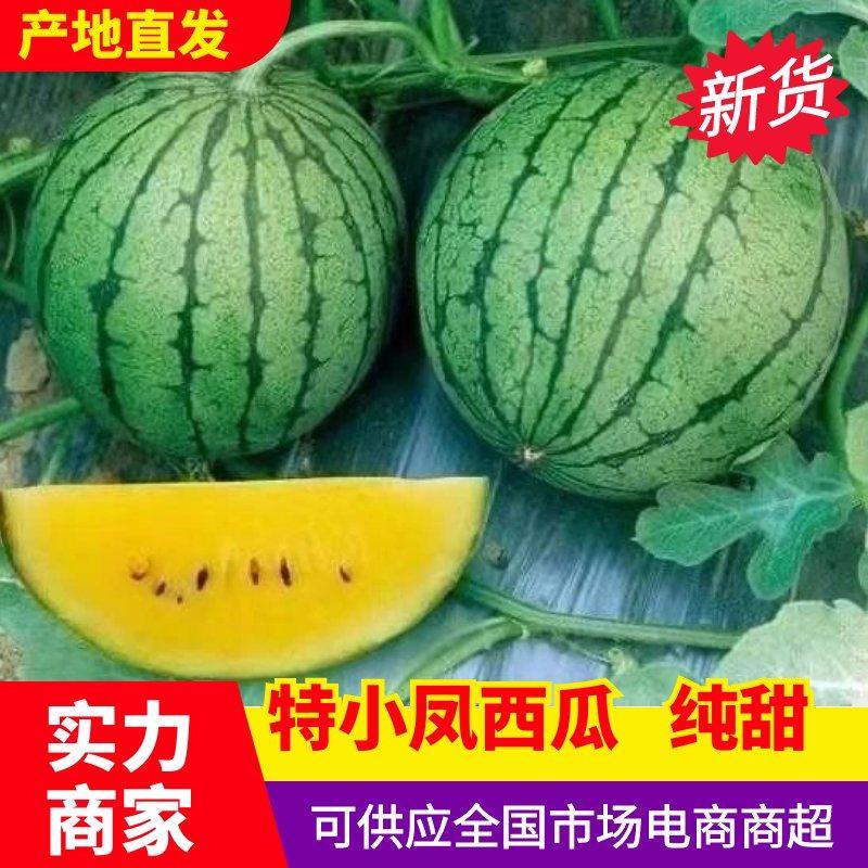 [牛]【推荐】宿迁特凤小西瓜产地直发口感香甜全国可发